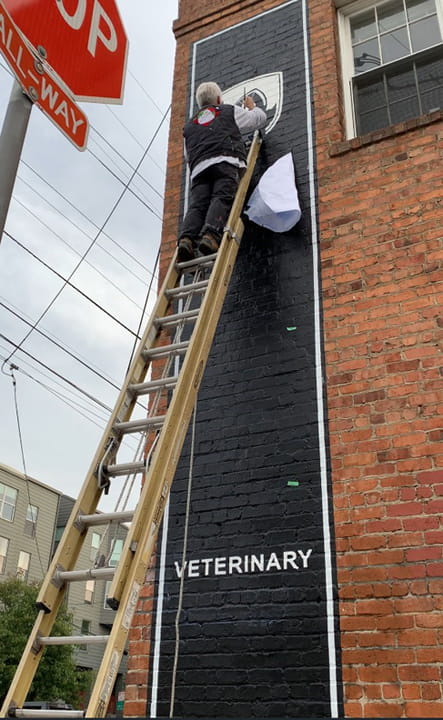 Tall hand-painted veterinary sign running down the corner of a brick building, painted directly onto the brick